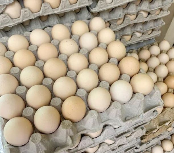 Sonali desi egg