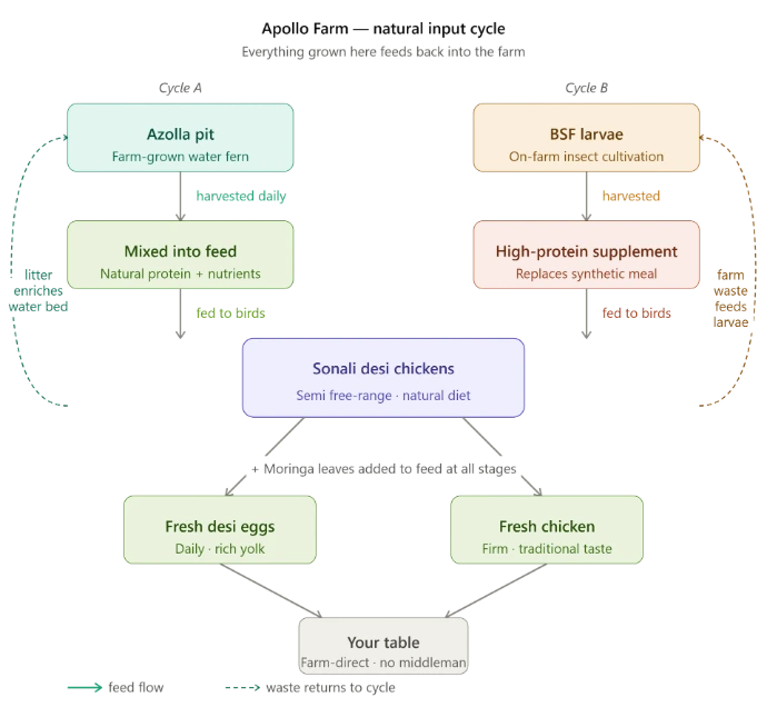 eco farming diagram