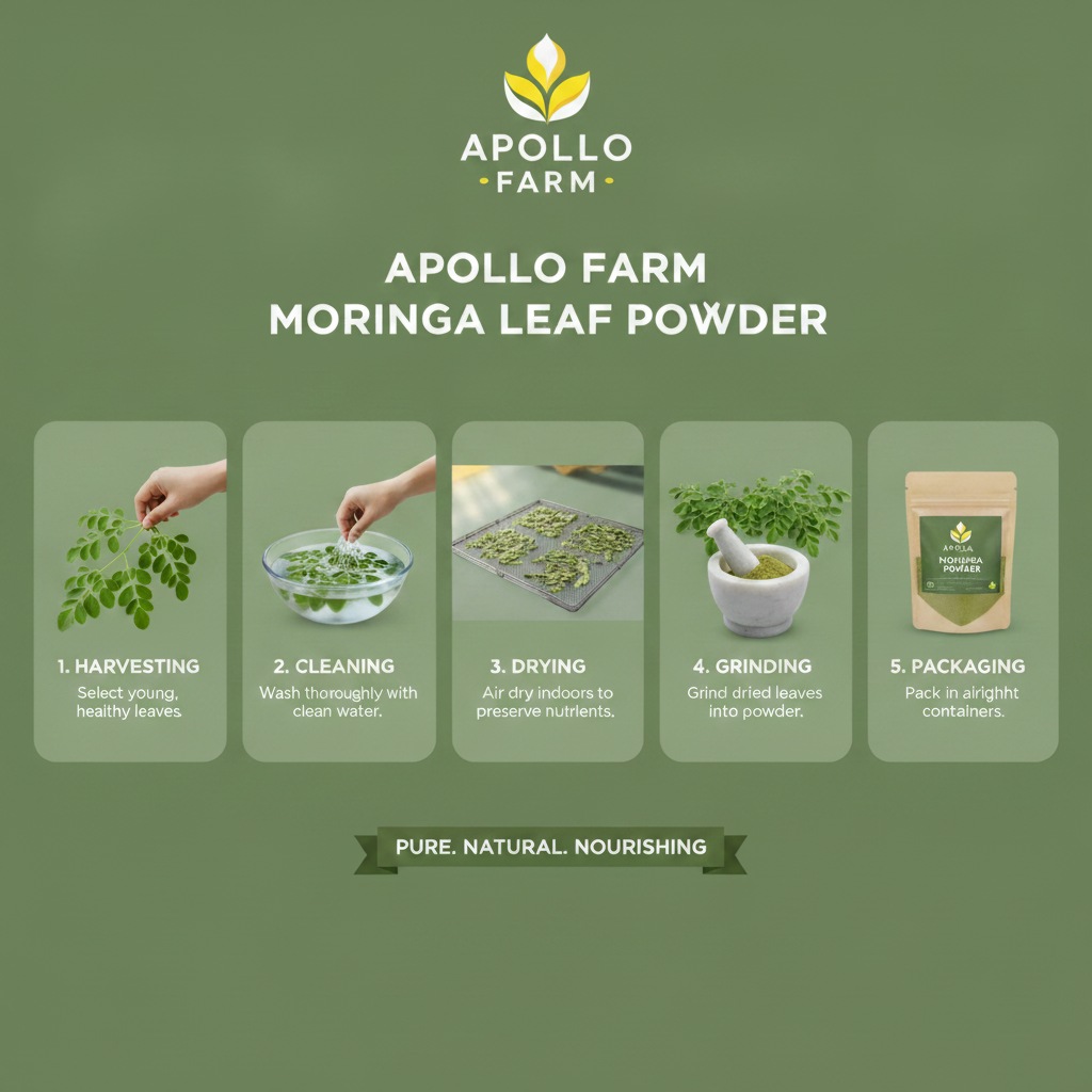 moringa powder