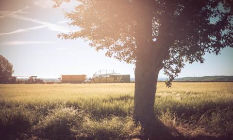 Apollo farm view